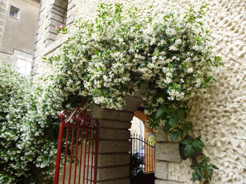 Chambres D'Hotes La Rose Des Vents Ginestas Exterior foto